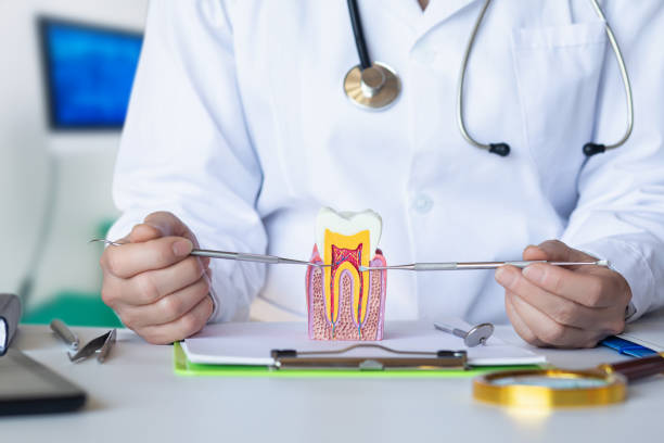 Best Emergency Dental Care for Abscessed Tooth in Richwood, WV